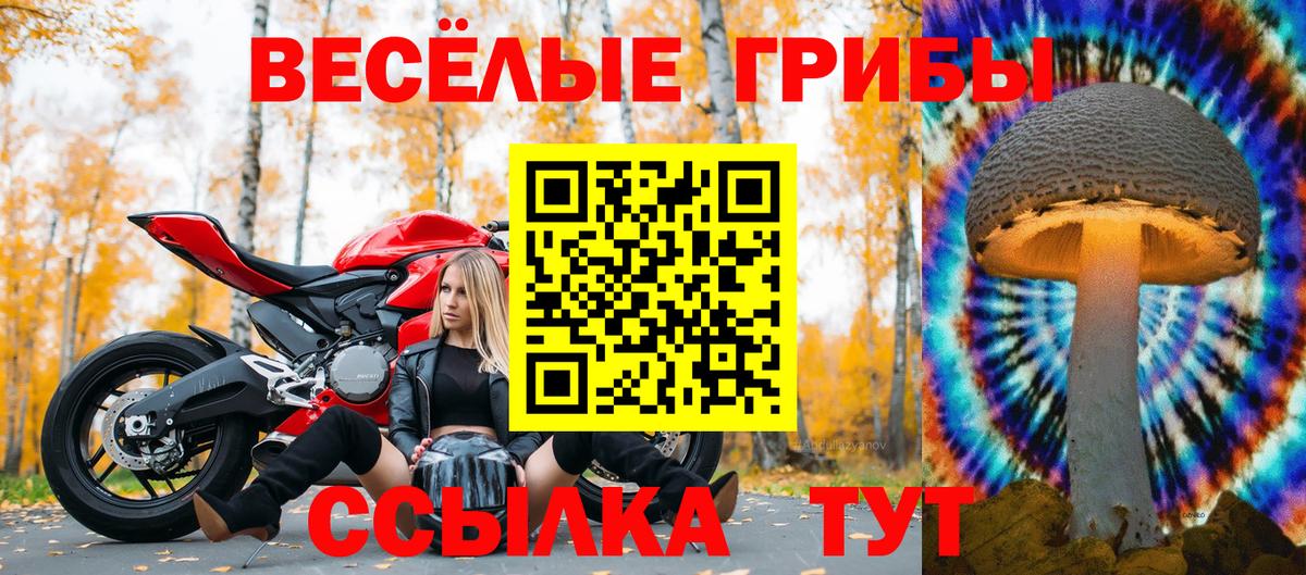 Ишимбай  Галлюциногенные грибы мухоморы  Вход с VPN 